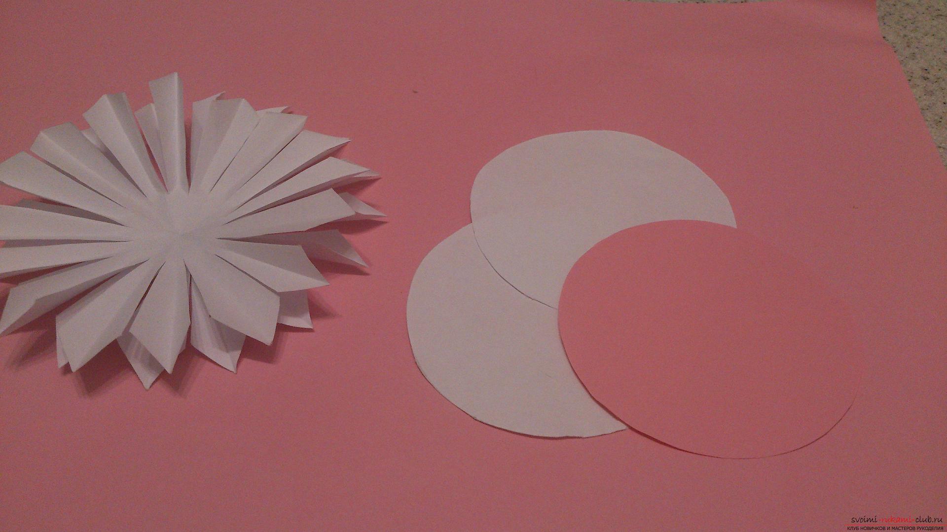Поделки в технике бумагопластики очень разнообразны, предлагаем сделать картину из цветов, а цветы из бумаги изготовим своими руками.. Фото №8